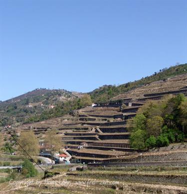 Excursion along the Rio Douro, Portugal 2009, DSC01507b_H555